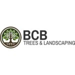 BCB Trees and Landscaping Profile Picture