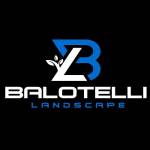 Balotelli Landscapes LLC Profile Picture