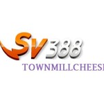 SV388 town Profile Picture