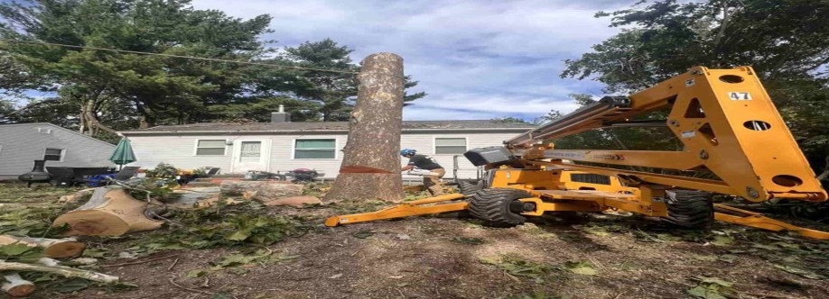 Perkins Lawn Care Cover Image