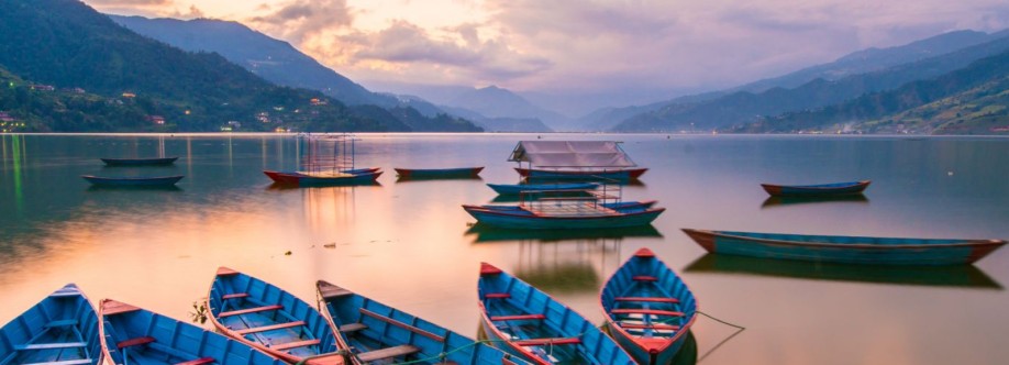 bestflight fares Cover Image