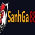 Sanhga88 store Profile Picture