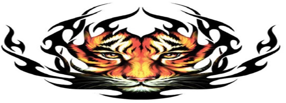 Look Look Tattoo Cover Image
