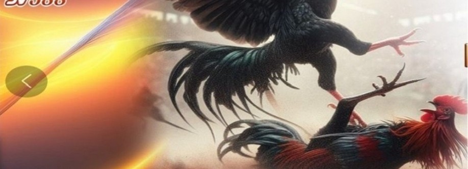 SV388 Cover Image