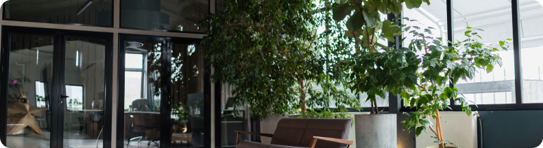 SharksCode - надійні інноваційні сервіси