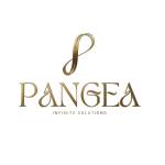 pangea Infinite solutions Profile Picture