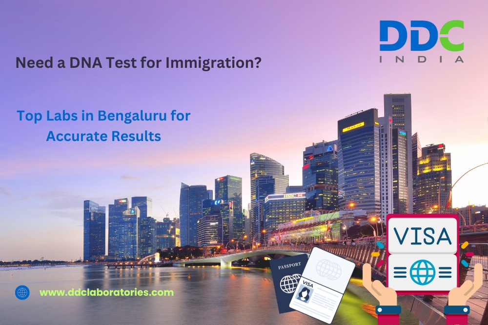 Everything You Need to Know About Immigration DNA Tests in Bengaluru - AtoAllinks