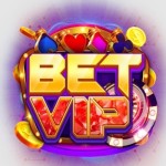 betvipgames Profile Picture