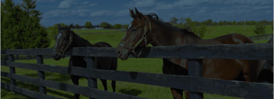 HorseCountryP Cover Image