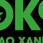 The Thao Xanh Chin Profile Picture