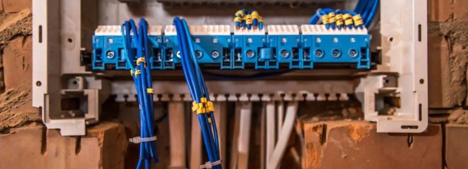 Dean Pahek Electrical Cover Image