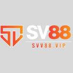 SV 88 Profile Picture