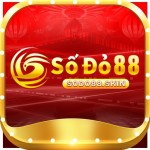 sodo88 sodo88 Profile Picture