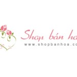 Shop Bán Hoa Profile Picture