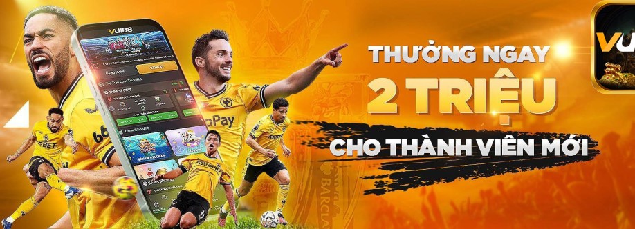 vui88 ltd Cover Image