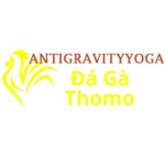Đá Gà Trực Tiếp Thomo Profile Picture
