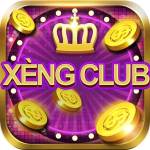 Xengclub Profile Picture