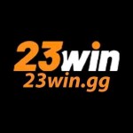 23wingg Profile Picture