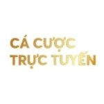 nohudoithuong Profile Picture