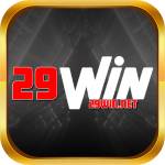 29winnet Profile Picture
