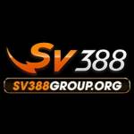 SV388 Profile Picture
