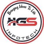HGS Infotech Profile Picture