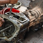 Vibration Dynamics Profile Picture