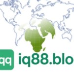 IQ88 blog Profile Picture