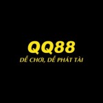 qq88software Profile Picture