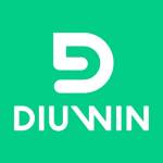 diuwin game Profile Picture