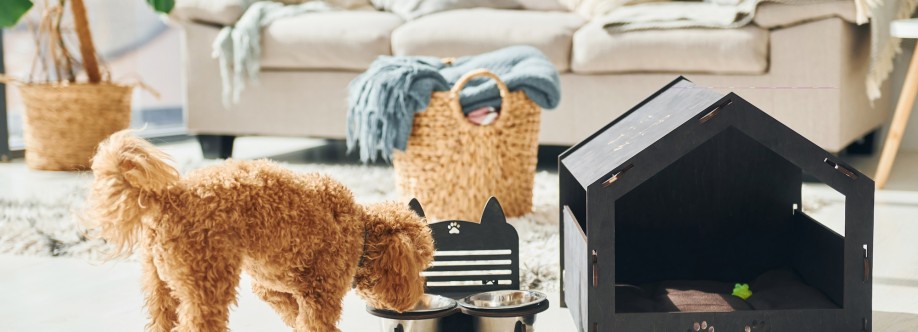 VIPBOX4 Avis Cover Image