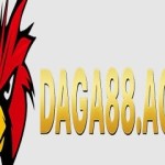 Daga88 Sân chơi đá gà trực tuyến đỉnh c Profile Picture