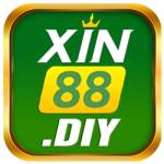 Xin88 diy Profile Picture