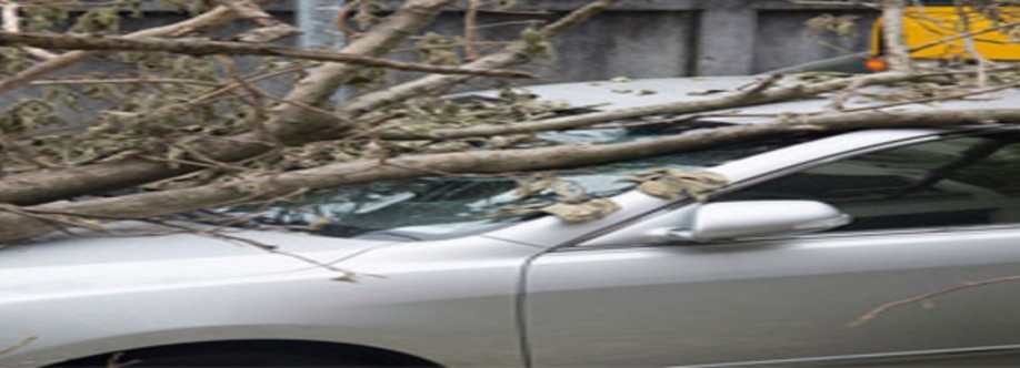 Farmers Insurance Vartan Safarian Cover Image