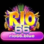 Rio66 Profile Picture
