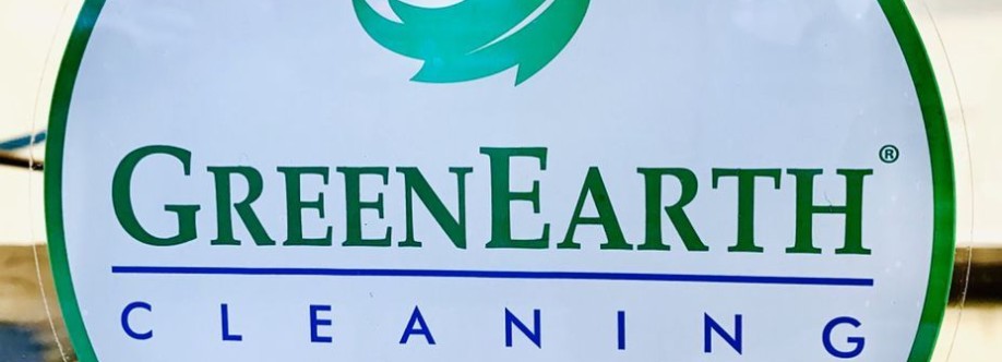 Palace Cleaners Cover Image