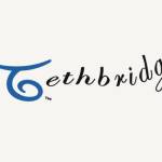 tethbridgetranslucents Profile Picture