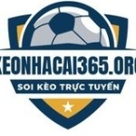 KEONHACAI365 ORG Profile Picture