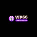 vip66techno Profile Picture