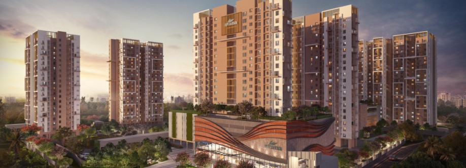 Liyaans Properties Cover Image