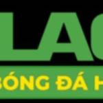 conseildesarts org die web Profile Picture