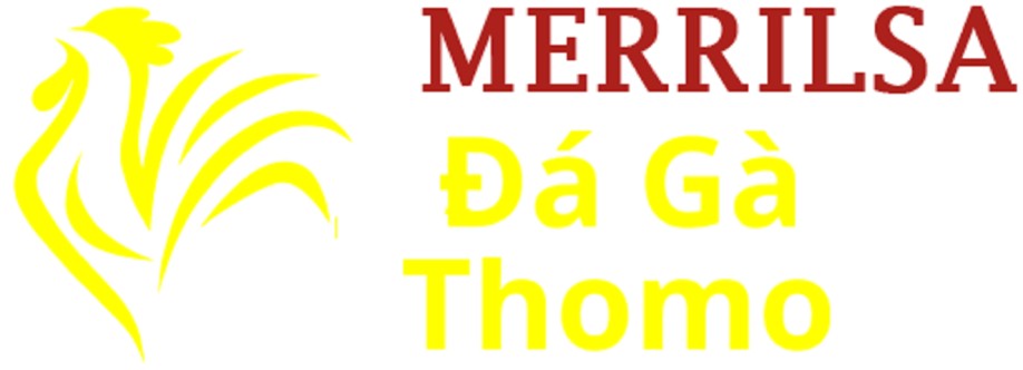 Đá Gà Trực Tiếp Thomo Cover Image