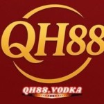 qh88 vodka Profile Picture