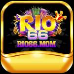 rio66 mom Profile Picture