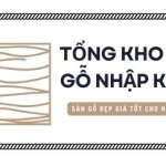 San Go Cong Nghiep Profile Picture