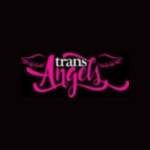 Trans Angels Profile Picture