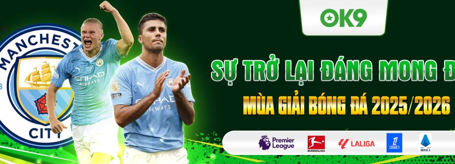 Ok968 net Cover Image