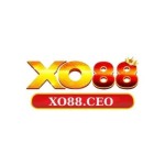 Trang Chủ Xo88 Profile Picture
