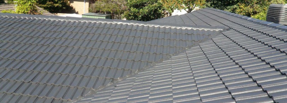 Local Roof Care Cover Image