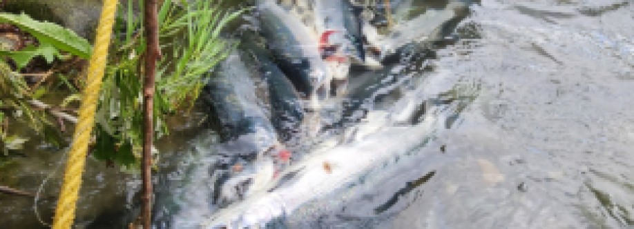 Scott Shelley Cover Image